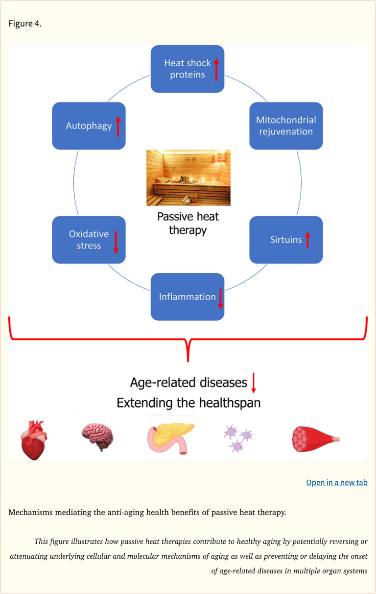 The multifaceted benefits of passive heat thera... - YouBoost