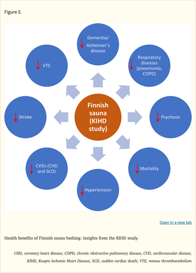 The multifaceted benefits of passive heat thera... - YouBoost